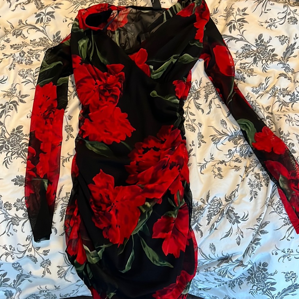 Rose dress from Windsor. New with tags